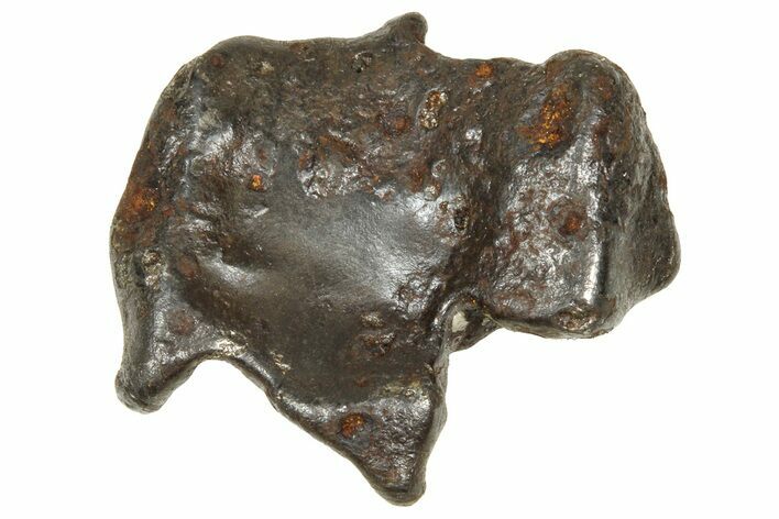 Fusion Crusted Sikhote-Alin Iron Meteorite ( g) - Russia #375331